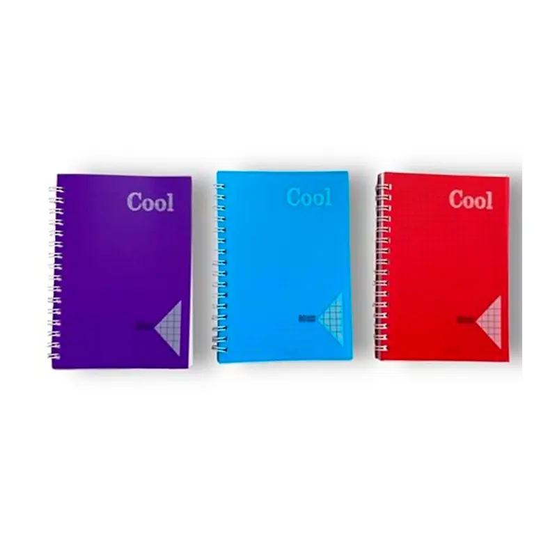 Keskin Color Plastik Kapak Spiralli Cool Defter 80 Yaprak A6 Kareli x 12 Li Paket