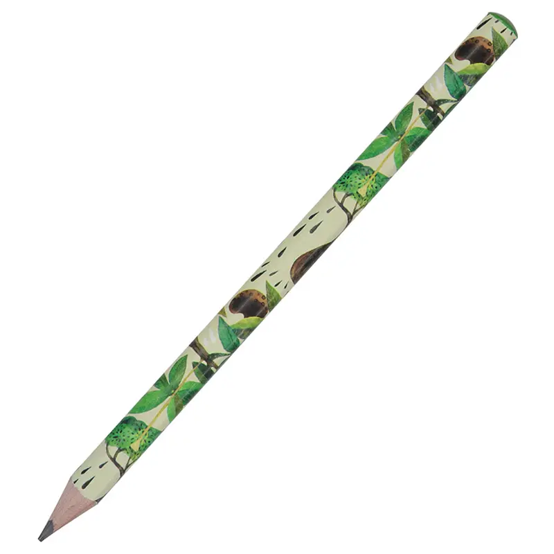 Bruno Visconti 221-0062/31 Graphix Kurşun Kalem 3.5mm 4B Baobab x 30 Lu Paket