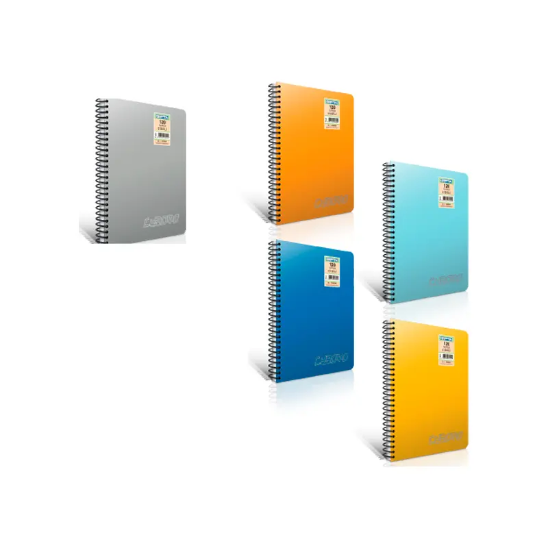 Gıpta 1977 Chromo Spiralli Plastik Kapak Defter A4 Kareli 40 Yaprak