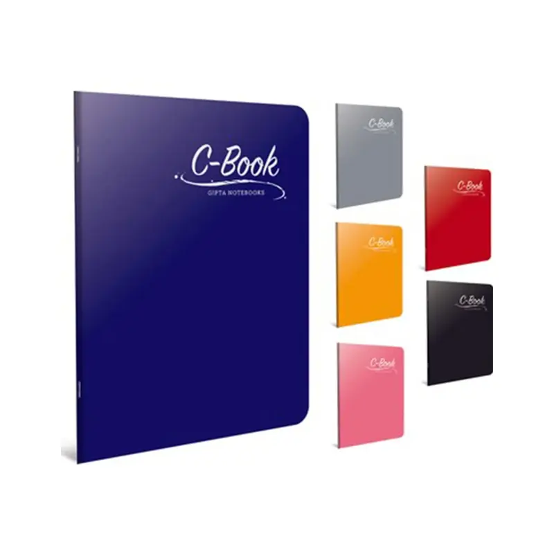 Gıpta C Book Dikişli Plastik Kapak Defter A4 Çizgili 100 Yaprak