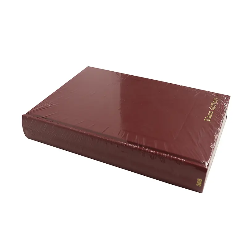 Bafix Ciltli Kasa Defteri 17cm x 24cm 365 Yaprak